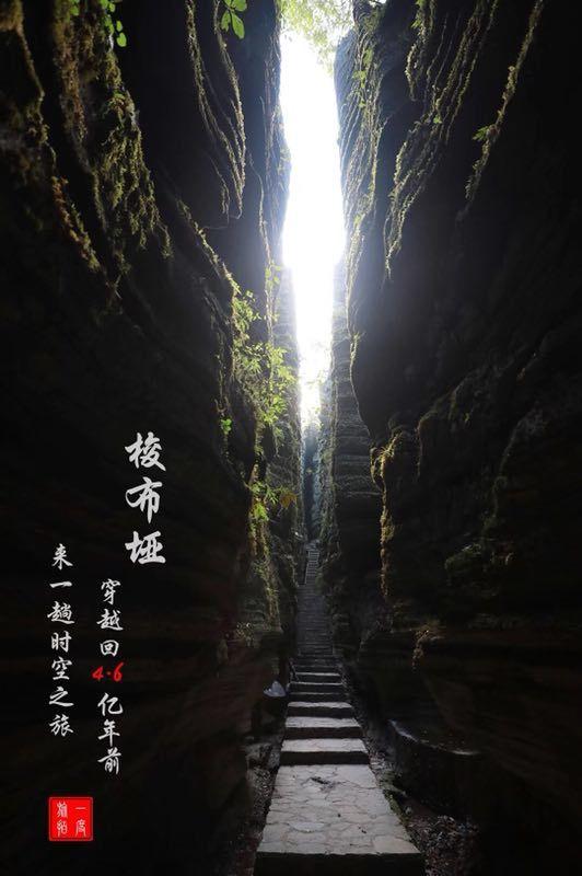 闲鱼怎么搜索卖家，闲鱼搜索卖家教程游戏画面