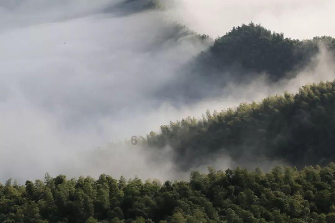 恶灵附身2